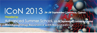 International Conference on Nanotheranostics (ICoN 2013), 26-28 Septiembre, Larnaca (Chipre)