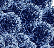 Nuevos medicamentos para detectar nanopartículas en los alimentos