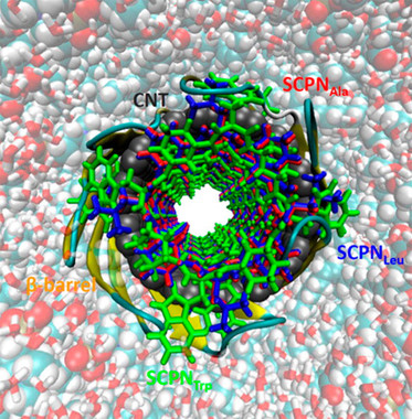 Simulaciones para analizar la presencia de nanotubos en la membrana celular