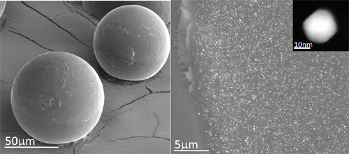 Investigadores del INA descubren la capacidad de nanopartículas de oro para activar fármacos en tumores