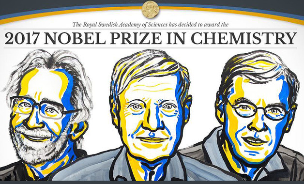 Premio Nobel de Química a un método para observar la vida privada de las moléculas