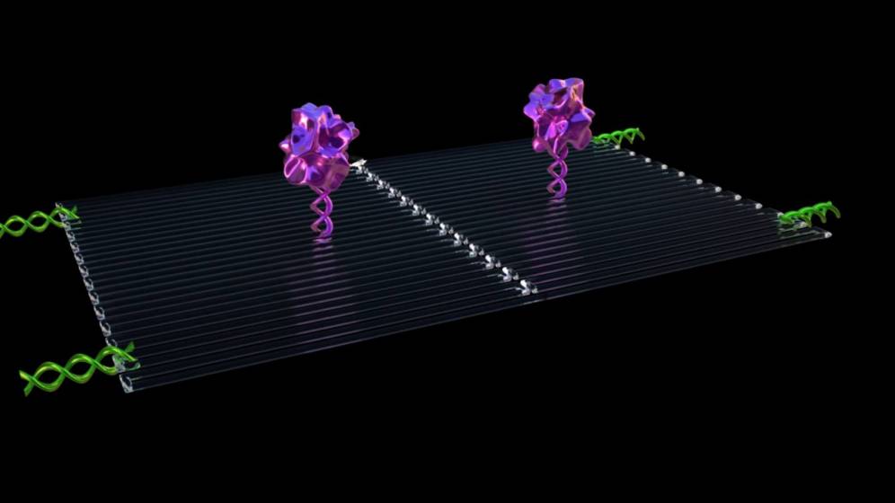 Ilustración del nano-robot matatumores. (ASU)