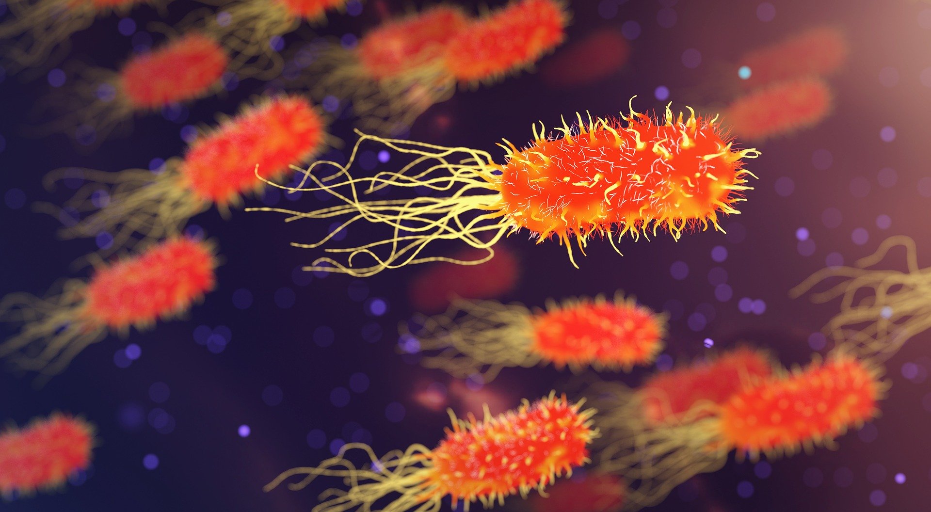 Investigadores del CSIC buscan un nanodispositivo universal capaz de detectar cualquier virus o bacteria