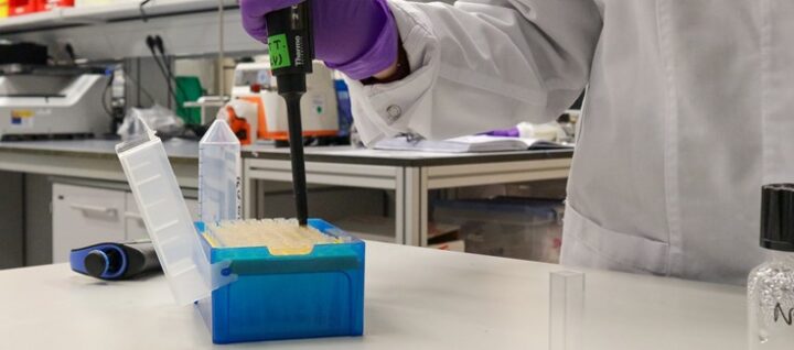 Una nueva infraestructura europea facilitará la transferencia de nanofármacos del laboratorio a la práctica clínica