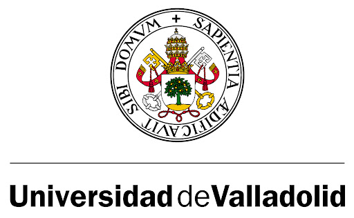 Grupo de Investigación BIODISPOSITIVOS AVANZADOS PARA NANOMEDICINA – Universidad de Valladolid