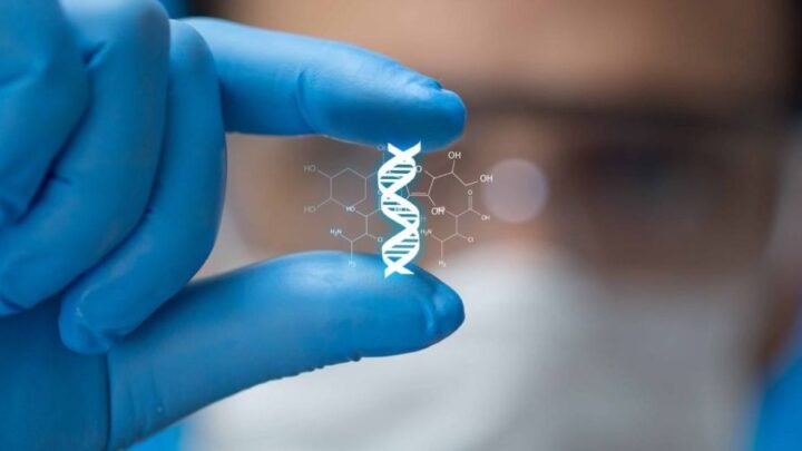 Nace el Grupo de Expertos para la Regulación de la Nanomedicina con el objeto de impulsar una legislación sobre esta rama de la medicina