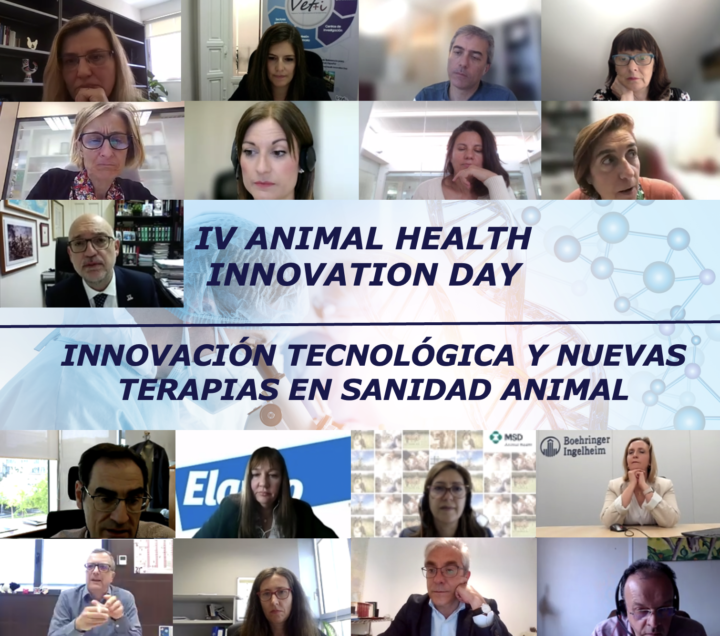 Vet+i y Nanomed Spain organizan el IV Animal Health Innovation Day con un enfoque en las nuevas terapias.