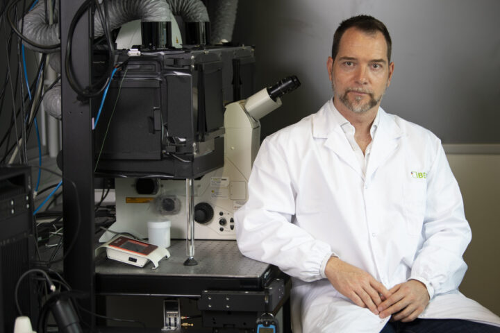 Un nuevo tipo de nanomotores mejora la inmunoterapia contra el cáncer de vejiga