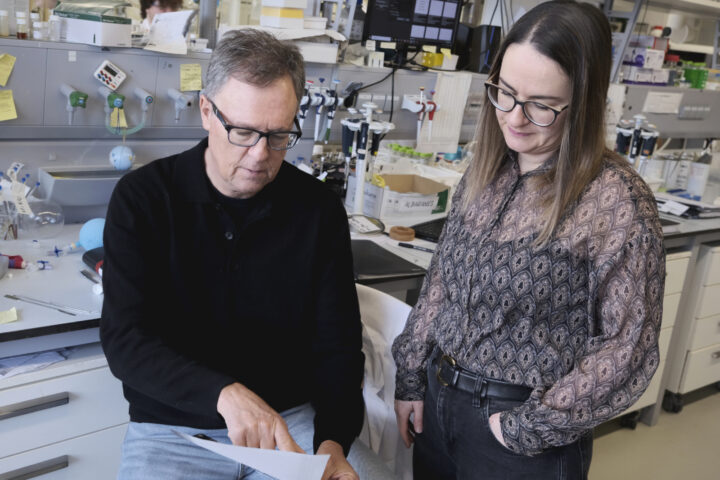 Investigadores del CiQUS lideran un proyecto del Consejo Europeo de Innovación para desarrollar un novedoso agente anticáncer