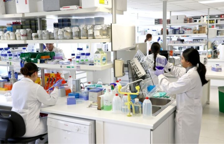 Idival y U. Cantabria diseñan una nanomedicina que ataca tumores sin dañar tejido sano