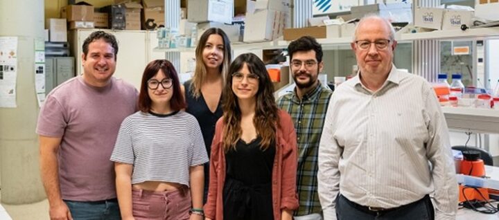 Nanoestrellas de oro que activan fármacos con luz: un nuevo enfoque contra el cáncer