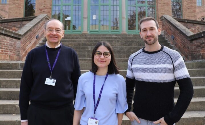 Una nueva estrategia de diseño en nanomedicina permite mejorar la eficacia antitumoral reduciendo la dosis de fármaco