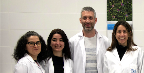 Nuevo avance: activación remota de células con imanes y nanopartículas sin alterar su ADN