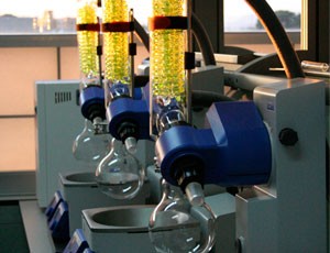 IMDEA Nanociencia avanza hacia la producción industrial de una nanoterapia contra la distrofia muscular de Duchenne