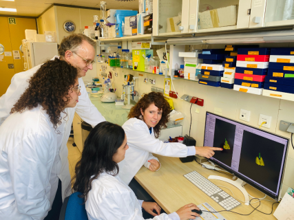 Las nanopartículas inspiradas en el líquido pulmonar mejoran las terapias dirigidas al sistema respiratorio