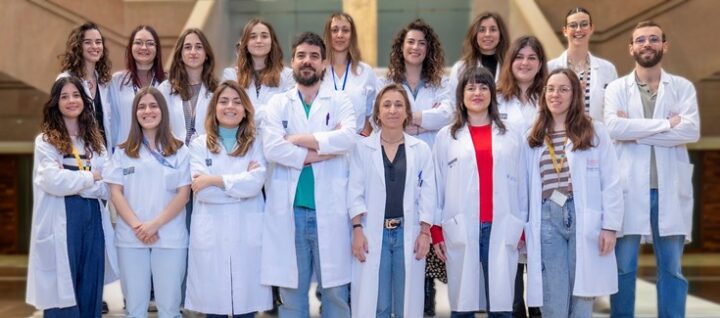Desarrollan una nanoterapia dirigida a mejorar la eficacia del tratamiento en cáncer de mama triple negativo